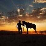 Cappadocia Horse Riding Price , Cappadocia Horse Farm, Cappadocia Horse Ranch ,